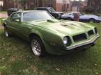 1974 Pontiac Trans Am Picture 3