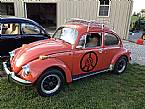 1979 Volkswagen Beetle Picture 3
