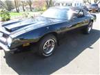 1974 Pontiac Firebird Picture 3