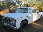 1965 Dodge D200 Picture 3