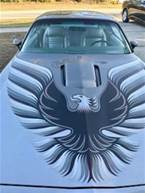 1979 Pontiac Trans AM Picture 3