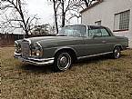 1967 Mercedes 250SE Picture 3