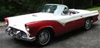 1955 Ford Thunderbird Picture 3