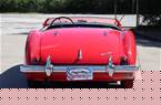 1954 Austin Healey 100 Picture 3