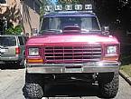 1979 Ford Bronco Picture 3