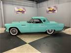 1955 Ford Thunderbird Picture 3