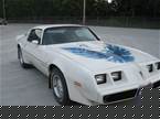 1980 Pontiac Firebird Picture 3