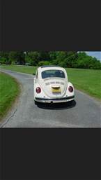 1977 Volkswagen Beetle Picture 3