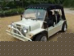 1979 Austin Mini Picture 3