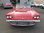 1960 Ford Thunderbird Picture 3