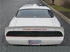 1980 Pontiac Trans Am Picture 3