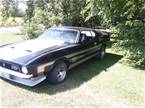 1972 Ford Mustang Picture 3