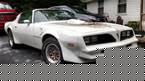 1981 Pontiac Firebird Picture 3