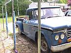 1964 Dodge Pickup Picture 3