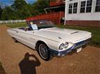 1964 Ford Thunderbird Picture 3