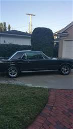 1966 Ford Mustang Picture 3