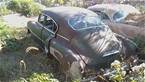 1951 Chevrolet Fleetline Picture 3