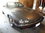 1988 Jaguar XJS12 Picture 3