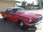 1964 1/2 Ford Mustang Picture 3