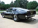 1968 Ford Shelby Picture 3