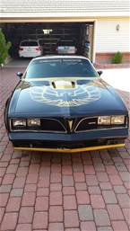 1978 Pontiac Macho Trans Am Picture 3