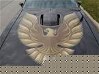 1979 Pontiac Trans Am Picture 3