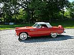 1956 Ford Thunderbird Picture 3