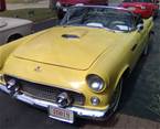 1955 Ford Thunderbird Picture 3