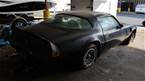 1981 Pontiac Trans Am Picture 3