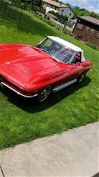 1966 Chevrolet Corvette Picture 3