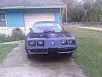 1979 Pontiac Trans Am Picture 3