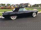 1955 Ford Thunderbird Picture 3