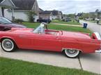 1956 Ford Thunderbird Picture 3