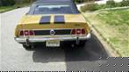 1973 Ford Mustang Picture 3