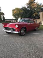 1955 Ford Thunderbird Picture 3