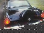1956 Ford Thunderbird Picture 3