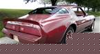1979 Pontiac Firebird Picture 3