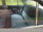 1955 Ford Customline Picture 3