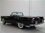 1955 Ford Thunderbird Picture 3