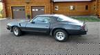 1981 Chevrolet Camaro Picture 3
