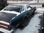 1979 Ford Thunderbird Picture 3