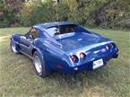 1977 Chevrolet Corvette Picture 3