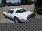 1975 Pontiac Trans Am Picture 3