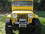 1947 Willys CJ2A Picture 3