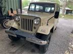 1982 Jeep Willys Picture 3