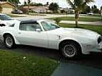 1978 Pontiac Trans Am Picture 3