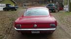 1966 Ford Mustang Picture 3