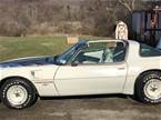 1980 Pontiac Trans Am Picture 3