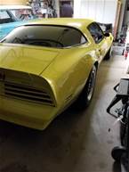 1978 Pontiac Trans Am Picture 3