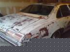 1973 Pontiac Grand Am Picture 3